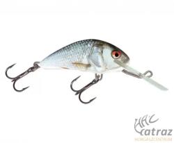 Salmo Hornet H2S RD - Real Dace (H2SRD)