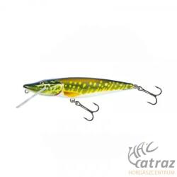 Salmo Pike PE9F PE - Pike (5906197362745)