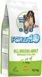 FORZA10 2x12, 5kg Forza 10 All Breeds Maintenance hal & rizs száraz kutyatáp