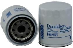 DONALDSON filtru combustibil DONALDSON P502163 (P502163) - automobilus