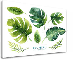  Vászonkép szöveggel Tropical set (modern vászonképek szöveggel)