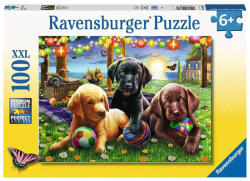 Ravensburger Puzzle Ravensburger Catei La Picnic, 100 Piese (ARA-RVSPC12886)