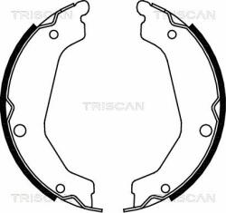 TRISCAN Set saboti frana TRISCAN 8100 43019 - automobilus