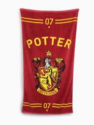 Wizarding World Wizarding World: Harry Potter Quidditch törölköző (Ruházat)