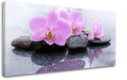 Vászonkép FENG SHUI_062-11 (modern vászonképek)