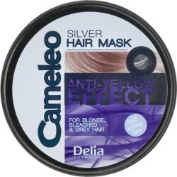Delia Cosmetics Mască de păr - Delia Cameleo Silver Hair Mask 200 ml