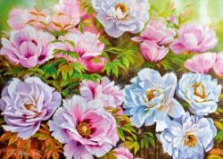 Cherry Pazzi 30608 - Poenyssimo. Opus 5 - 1000 db-os puzzle