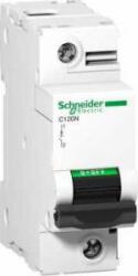 Schneider Electric ACTI9 C120N kismegszakító, 1P, D, 80A A9N18379 (A9N18379)