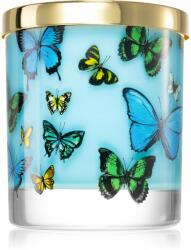  Castelbel Portus Cale Butterflies illatgyertya 210 g