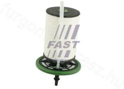 Fastoriginal Üzemanyagszűrő JUMPER 14> 2.0 HDI FIAT DOBLO III (FT39111)