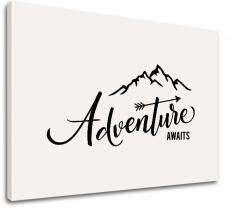 Tablou canvas motivațional Adventure awaits_002 (tablouri) (XOBMT035E11)