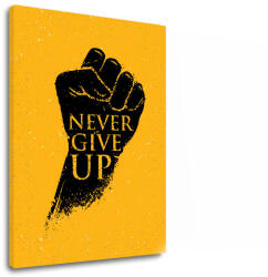 Tablou canvas motivațional Never give up (tablouri moderne cu) (XOBMT061E11)