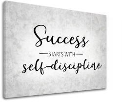 Tablou canvas motivațional About success_008 (tablouri moderne) (XOBMT040E11)