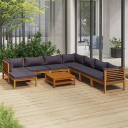 vidaXL Set mobilier de grădină cu perne, 9 piese, lemn masiv acacia (3086913)