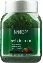 BINGOSPA Sare de baie Pin japonez - BingoSpa Salt 1350 g