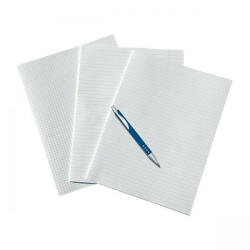BLUERING Rovatolt Papír A3 Kockás 20ív/hajtás, A4 Méretre Hajtva (rovpapkoc) - cartridge
