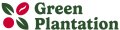 Green Plantation oferte