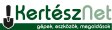 KerteszNet