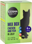 Cosma 24 x 100 g Cosma Original tasakos nedves macskatáp vegyes próbacsomagban-mix 2
