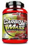 Amix Nutrition CarboJet Mass Professional - 1800 g (Erdei gyümölcsök) - Amix