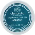 Alessandro International Gel de unghii - Alessandro International Colour Gel 114 - Orange Red