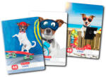 Herlitz Set 10 Caiete Herlitz A5, 48 file, 70g/mp, dictando, Motiv Cool dog (9480640-10)