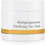 Dr. Hauschka Mască de față - Dr. Hauschka Clarifying Clay Mask 90 g Masca de fata