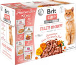 Brit Care Fillets in gravy Flavour Box 12x85 g