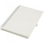 Everestus Agenda A5, Everestus, 22FEB0859, 21x14 cm, Carton, Alb (EVE06-10778302)
