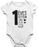  1 éves lettem zebrás baby body (1_eves_lettem_zebras_baby_body)