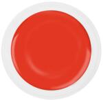 Lila Rossa Gel UV Color, Lila Rossa, 5 g, nuanta 11 (LR-P11)