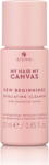 Alterna Haircare My Hair My Canvas New Beginnings Exfoliating Cleanser 25 ml