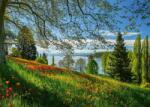 Schmidt Spiele - Puzzle Tulips Field - Insula Mainau - 1 000 piese Puzzle