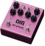 Strymon DIG V2