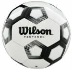 Wilson Pentagon Black/White Minge Fotbal