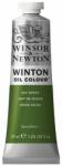 Winsor & Newton Culori ulei Winton Winsor Newton, Dark Verdigris, 37 ml, PB29 PY74