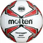 Molten Futsal F9V1900