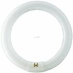 Philips 22 W G10q fluoreszkáló lámpa Természetes fehér (8727900840506)