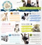 Ars Una Cuki állatok 18 db (53831071)