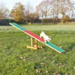 TRIXIE Dog Sport agility rámpa (80 kg-ig terhelhető; 300 x 54 x 34 cm)
