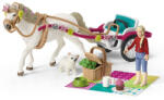 Schleich Set Schleich 42467, Trasura la spectacolul ecvestru (42467S) Figurina