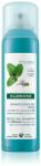 Klorane Organic Mint сух шампоан за коса, изложена на замърсен въздух 150ml