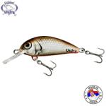 Vidra Lures Vobler VIDRA LURES Agility 45S, 4.5cm, 6g, culoare BR (AG45S-BR)