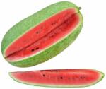 Pop Vriend Seeds Seminte de pepene verde tip pepenoaica Charleston, 25 grame (HCTG00073)