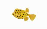 CollectA Figurina Peste Cubicus Boxfish S Collecta (COL88788S) - ookee Figurina