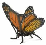 CollectA Figurina Fluture Monarh L Collecta (COL88598L) - ookee Figurina