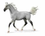 CollectA Figurina pictata manual armasar Half Arabian Dappled Gri (COL88959DELUXE) - ookee Figurina