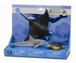 CollectA Set 3 figurine Viata marina - Collecta (COL89279LPP) - ookee Figurina