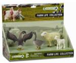 CollectA Set 4 figurine Viata la ferma- Collecta (COL89572LPP) - ookee Figurina