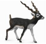 CollectA Figurina pictata manual Antilopa Blackbuck (COL88638L) - ookee Figurina